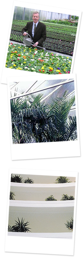 Bild-Collage, auf den Bildern zu sehen ist eine Person die im Gartencenter Blumen gießt und Palmen im Gewächshaus 