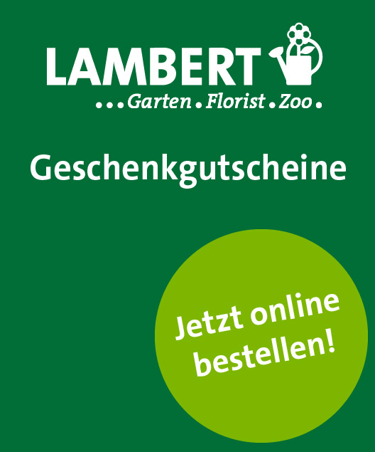 Motiv für den Lambert Gutschein