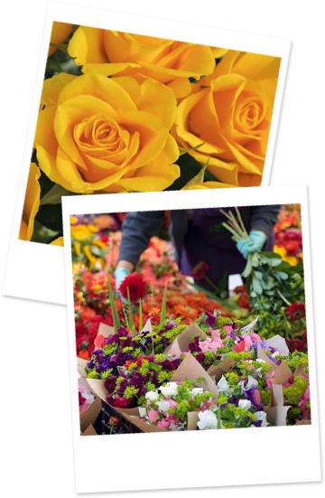 Zwei Bilder von wunderschönen Blumen bzw. Blumen-Gestecken die sich überlagern