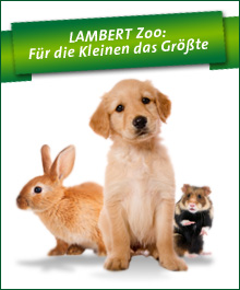 Symbolbild für den Lambert Zoo (Zoo-Abteilung)